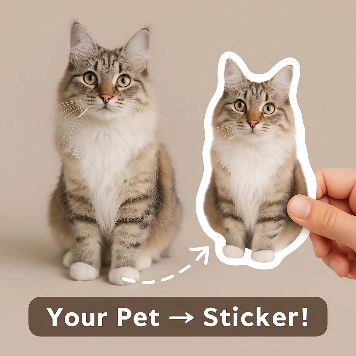 Custom Pet Stickers Creative Designs That Spark Online Sales