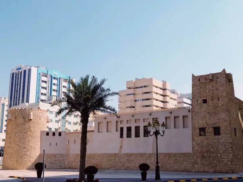 What Defines Feasibility Study Analysis for UAE
