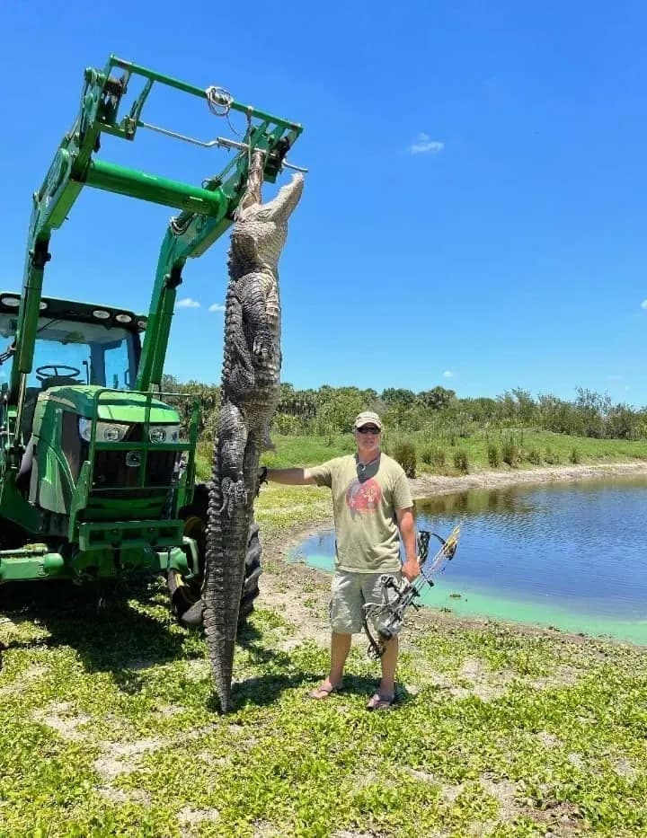 Gator Hunting Trips Florida: Experience Your Hunt Your Way