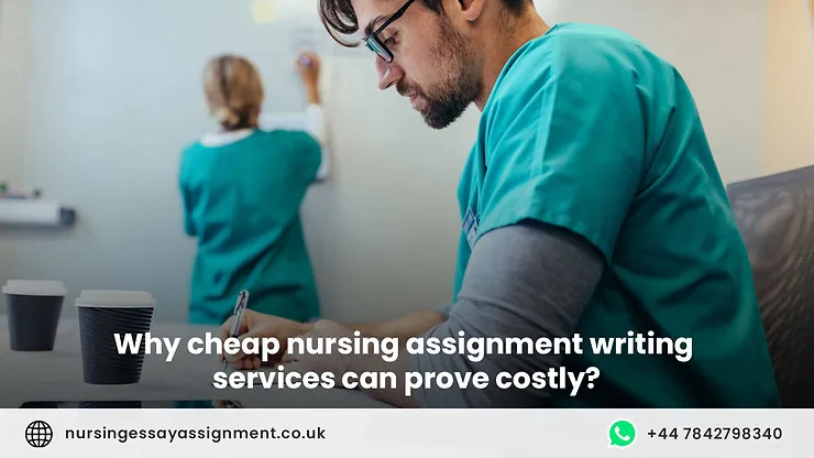 Why cheap nursing assignment writing services can prove costly?