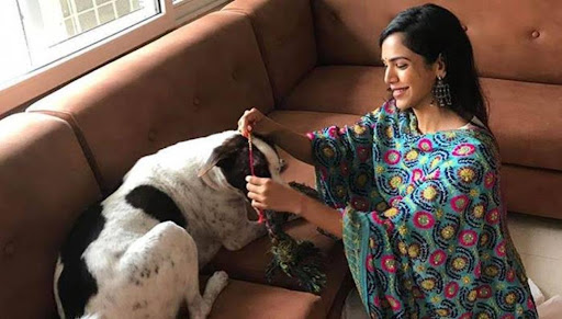 Modern trends of tying rakhi to pets