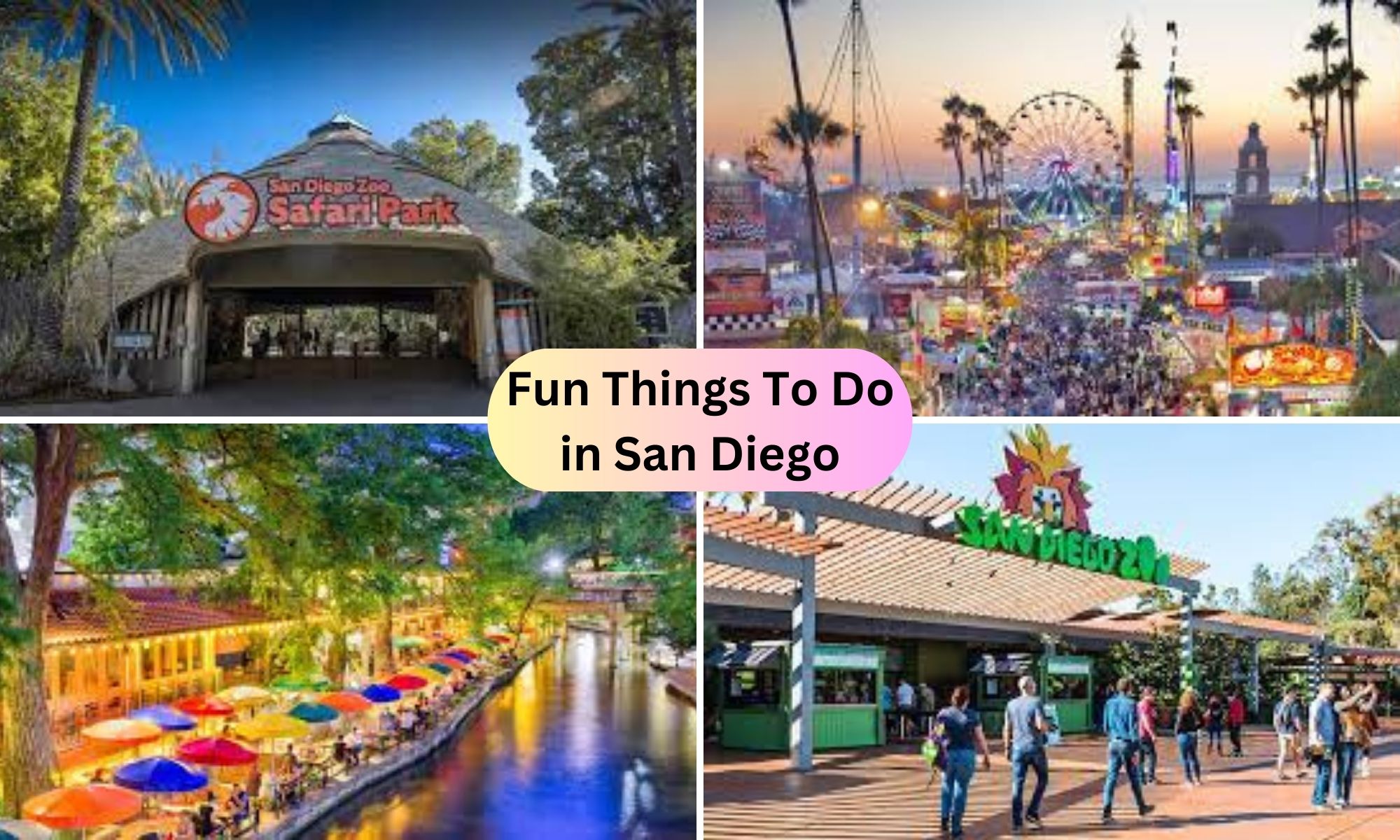 Fun Things To Do In San Diego