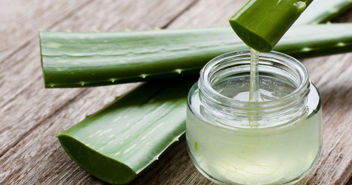 The Aloe Vera Market: Growth, Trends, and Future Outlook (2024-2032)