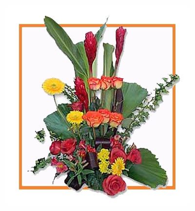 Send Flowers to Vizag: A Timeless Gesture to Express Your Emotions