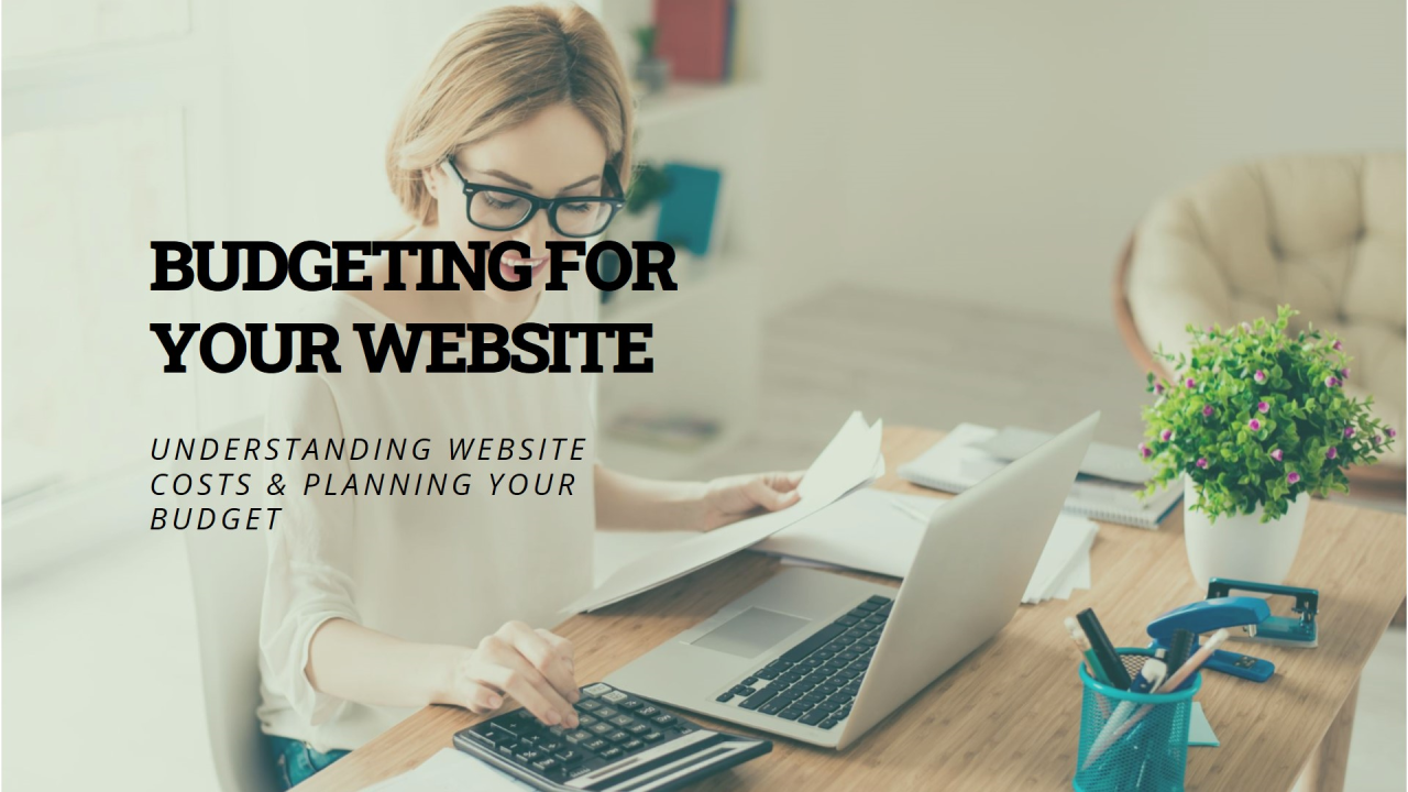 "Step-by-Step Guide to Building a Budget Ecommerce Website"