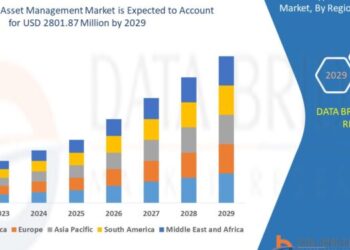 Crypto asset management for beginners: Tips and tricks for new investors
