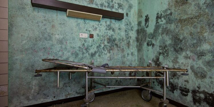 10 Warning Signs of Mold Toxicity