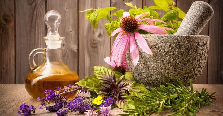 7 Adaptogenic Plants to Reduce Stress