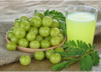 The Incredible Health Benefits of Consuming Amalaki Fruits