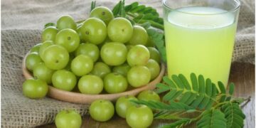 The Incredible Health Benefits of Consuming Amalaki Fruits