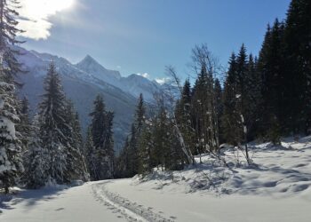 Top Things You Can’t Miss on a Kashmir Trip from Kochi