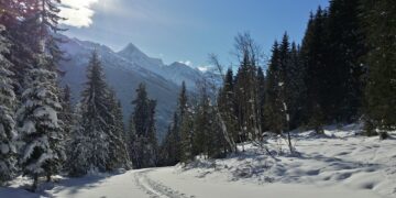 Top Things You Can’t Miss on a Kashmir Trip from Kochi