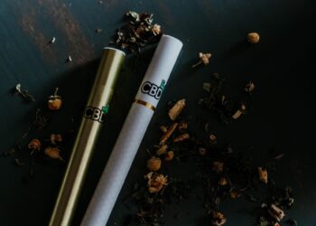 The Rise of Disposable Vapes: Convenience and Quality at Ipuff Shop