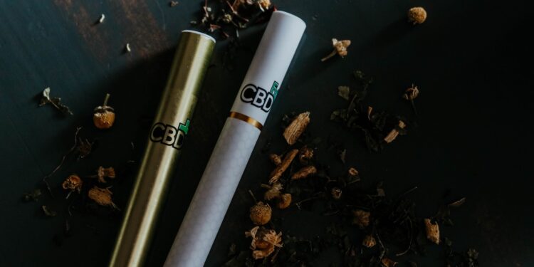 The Rise of Disposable Vapes: Convenience and Quality at Ipuff Shop