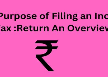 The Purpose of Filing an Income Tax :Return An Overview