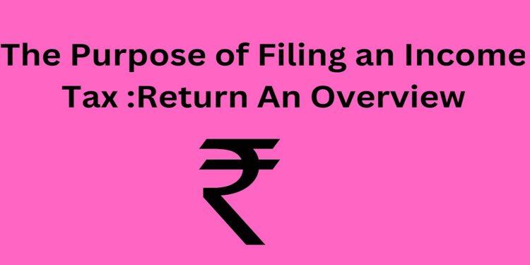 The Purpose of Filing an Income Tax :Return An Overview