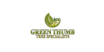 Why You Should Consider Tree Removal for Diseased or Hazardous Trees