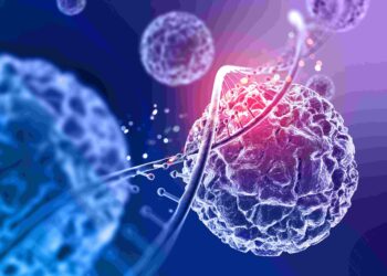 The Pros and Cons of Different Cancer Treatment Options in India: A Honest and Balanced Comparison