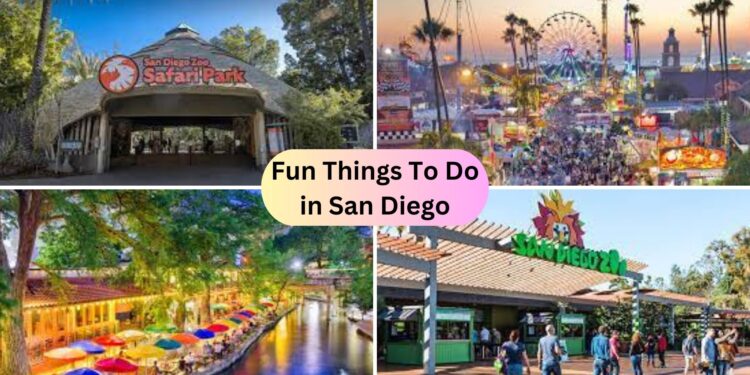 Fun Things To Do In San Diego