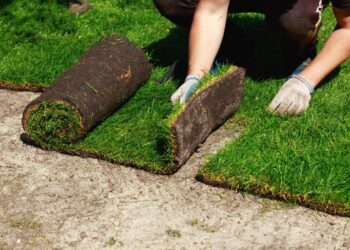 Tips for Choosing the Right Podiatrist