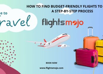 How to Find Budget-Friendly Flights to Dallas: A Step-by-Step Process