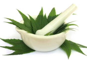 Harnessing Neem’s Potency in the Battle Against Cancer